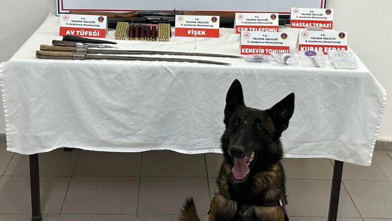 Baca Deliğine Saklanan Uyuşturucuyu Narkotik Köpeği Buldu