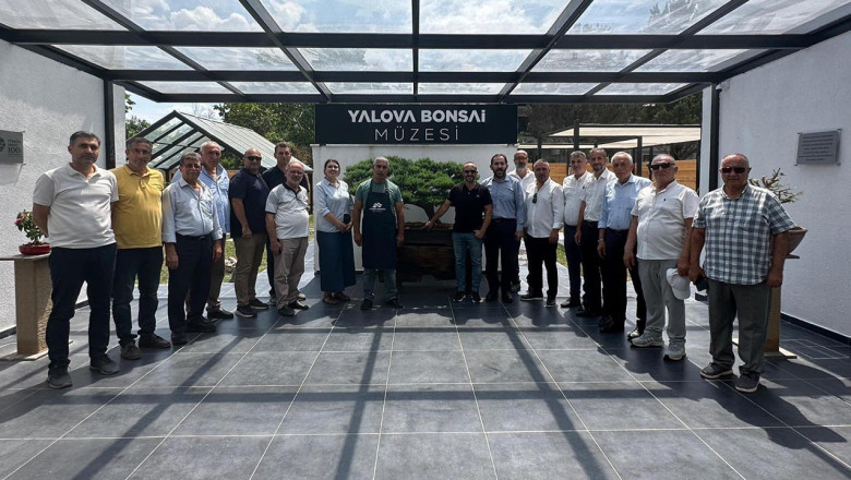 Bonsai Müzesine Ziyaretçi Akını