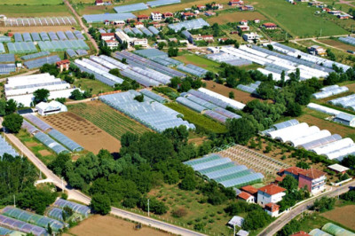 Çiçek Kenti Yalova