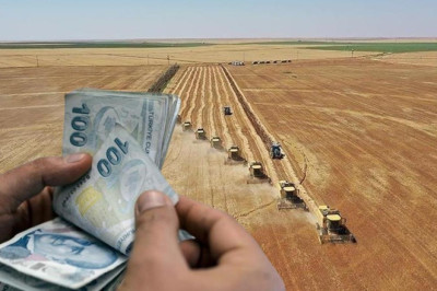 Destek ödemeleri hesaplara yatırılıyor