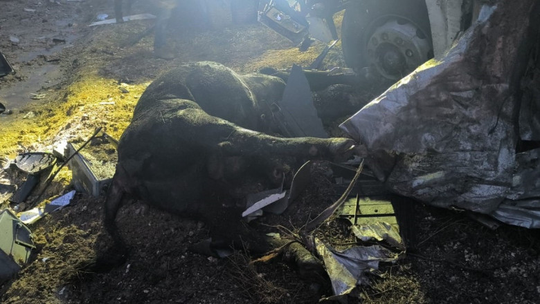 Ankara'da hayvan yüklü tır devrildi: 1 ölü