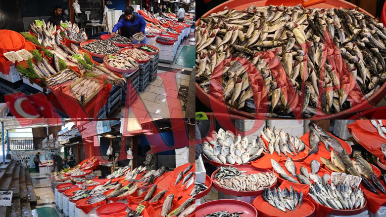 Balık Sezonu Nasıl Geçiyor?