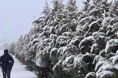 Bol kazanç: Rüyada Lapa Lapa Kar Yağdığını Görmek Ne Anlama Gelir? Rüyada Kar Yağması Neye Yorumlanır?
