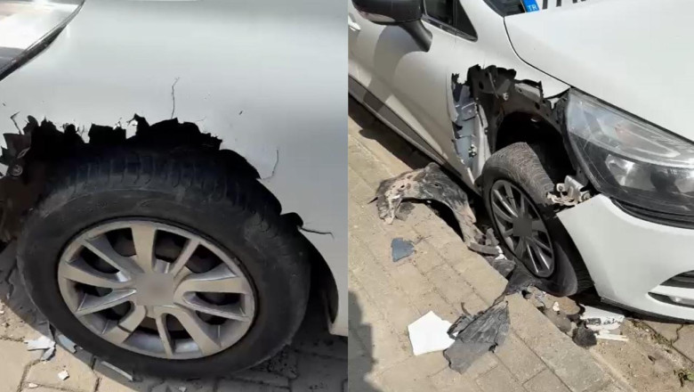 Yalova'da Sokak Köpekleri Park Halindeki Otomobilleri Paramparça Etti