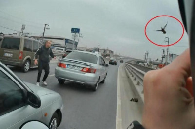 Yavru ördekler trafiği birbirine kattı