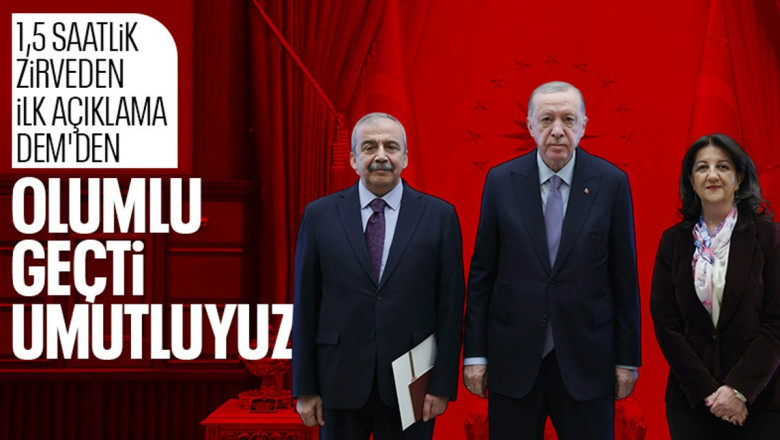 Sırrı Süreyya Önder: Cumhurbaşkanı ile görüşme olumlu geçti