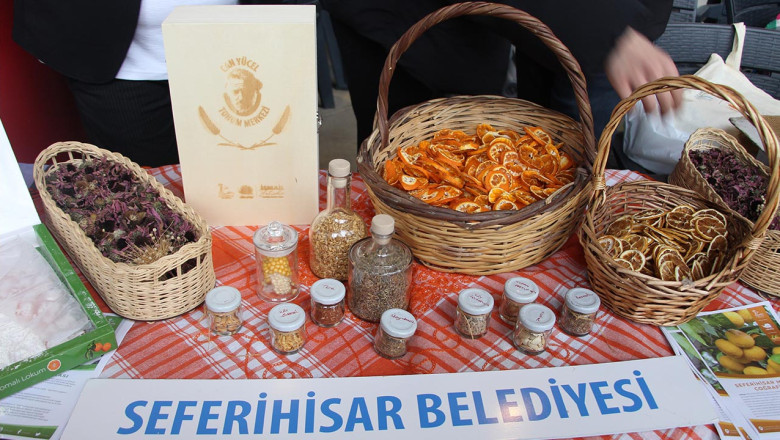 Yalova’da Tohum Takas Şenliği Büyük İlgi Gördü