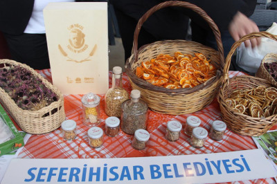 Yalova’da Tohum Takas Şenliği Büyük İlgi Gördü