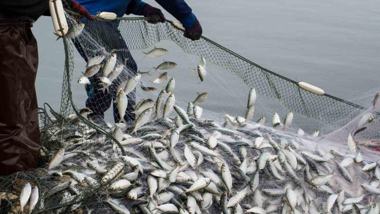 Denizlerde Av Yasağı Başladı