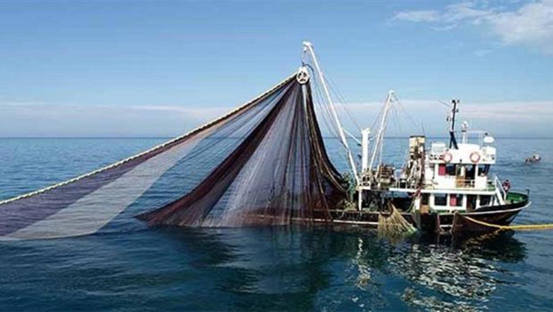 Yalovalı Balıkçılar Dikkat: Avlanma Kurallarında Değişiklikler Geldi!