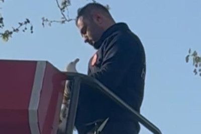 Yalova’da Tele Takılan Martıyı Hem Vatandaşlar Hem De Dostları Yalnız Bırakmadı