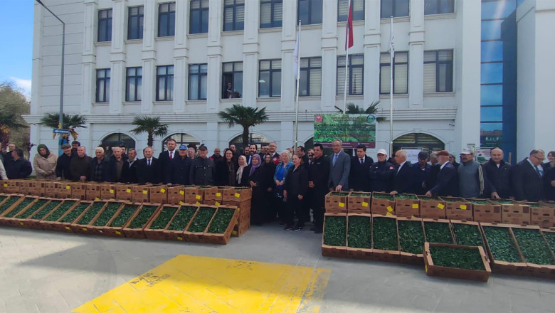 Yalova’da Çiftçiye 375 Bin Sebze Fidesi Desteği