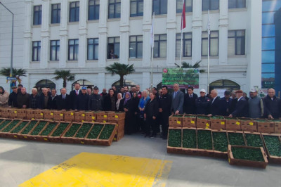 Yalova’da Çiftçiye 375 Bin Sebze Fidesi Desteği