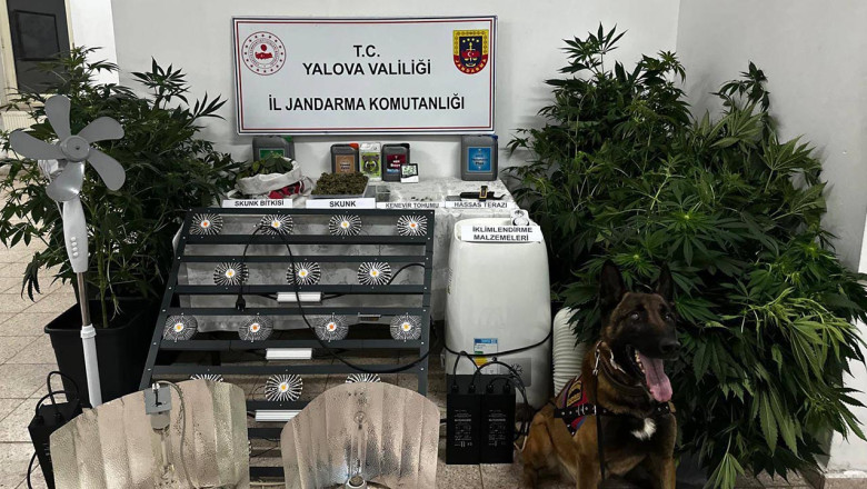 Evini Madde Serasına Çevirdi, Jandarma Yakaladı
