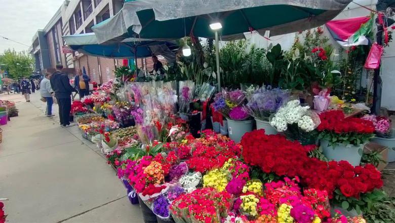 Yalova’da Anneler Günü Çiçeklerle Taçlandı