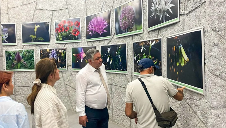 “Yalova’nın tüm değerlerini bir araya getirmek istiyoruz”
