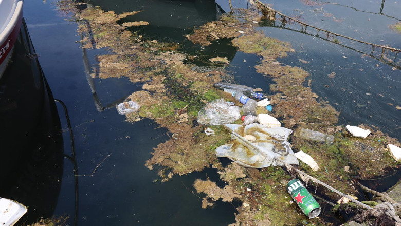 Yalova'ya Müsilaj Geri Döndü!