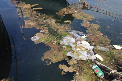 Yalova'ya Müsilaj Geri Döndü!