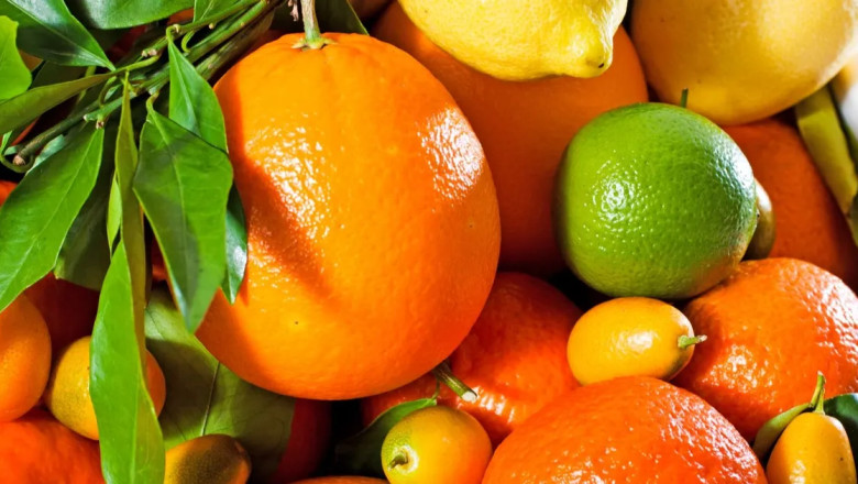 Turunçgiller fiyat artışında başı çekti