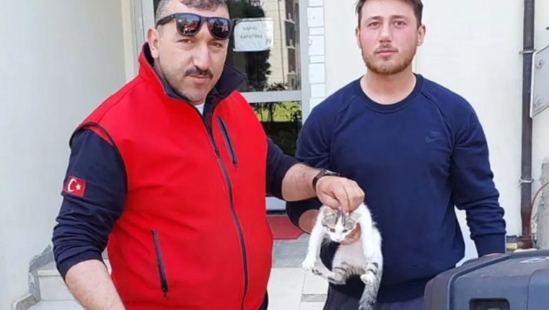 Çiftlikköy’de iki duvar arasında mahsur kalan kediye kurtarma operasyonu