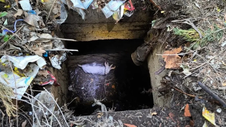 Yalova’da logar kuyusuna düşen keçiyi operasyonla kurtardılar