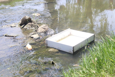 Ne Olacak Bu Safran Deresi’nin Hali?