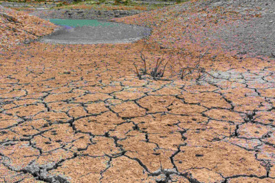 TEMA Vakfı: Toprağı İyileştirmek Geleceğimizi Korumaktır