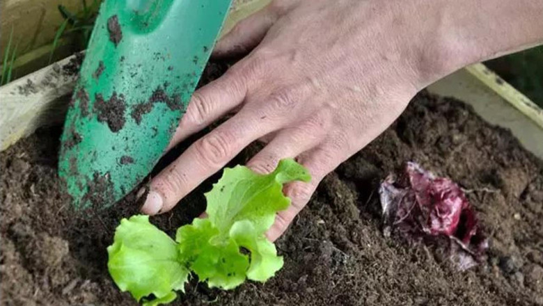 Başvurular Yarın Bitiyor!