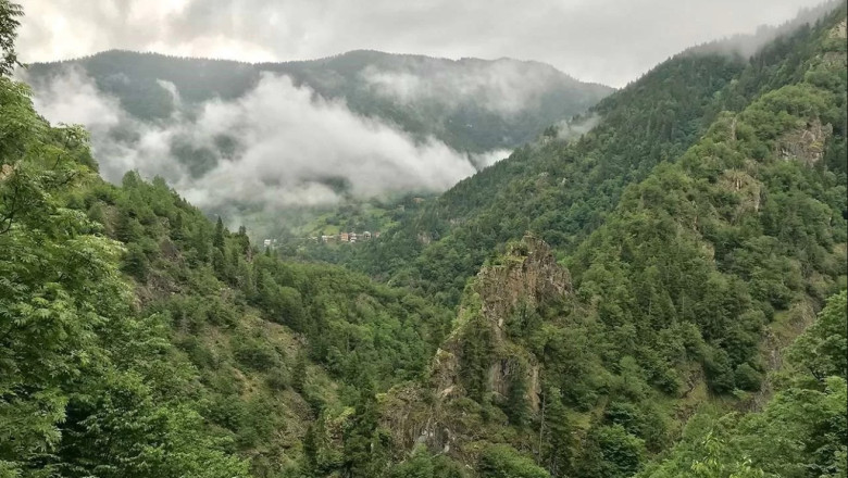 Yalova’da Ormanlara Giriş Yasaklandı