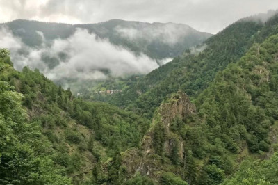 Yalova’da Ormanlara Giriş Yasaklandı