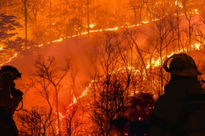 Yalova’da Ormanlara Giriş Yasaklanıyor mu? İşte Alınan 24 Kritik Karar