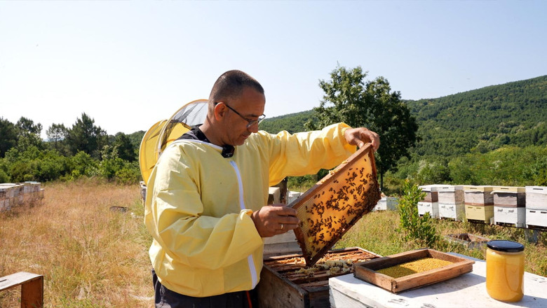 Yalova Belediyesi’nden Coğrafi İşaretli ‘Yalova Kestane Balı’na Tanıtım Desteği