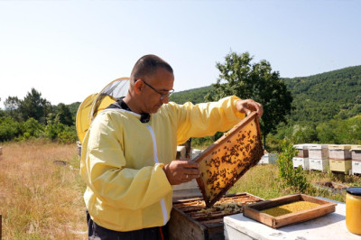 Yalova Belediyesi’nden Coğrafi İşaretli ‘Yalova Kestane Balı’na Tanıtım Desteği