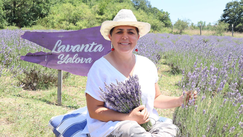 Doğayla İç İçe, Lavanta Kokulu Bir Kaçamak Yalova’da Sizi Bekliyor