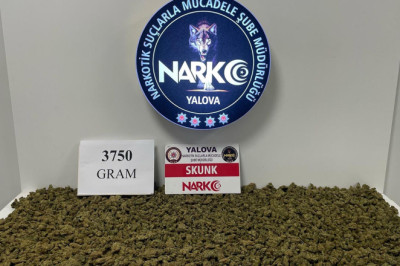 Yalova'da Uyuşturucu Operasyonunda 1 Kişi Tutuklandı