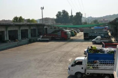 İstanbul’un Sebze ve Meyvesi Yalova’dan!