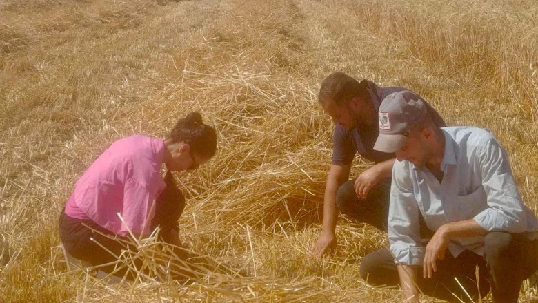 Yalova’da Dane Kaybına Karşı Sıkı Denetim