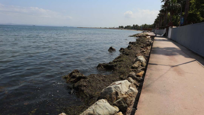 Yosun Sorunu Büyüyor