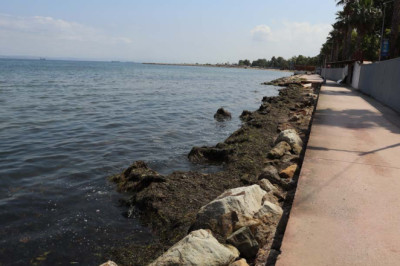 Yosun Sorunu Büyüyor