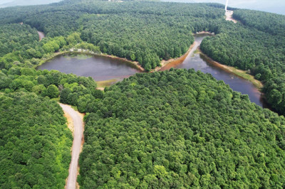 Yalova'da Ormanlara Girişler Yasaklandı