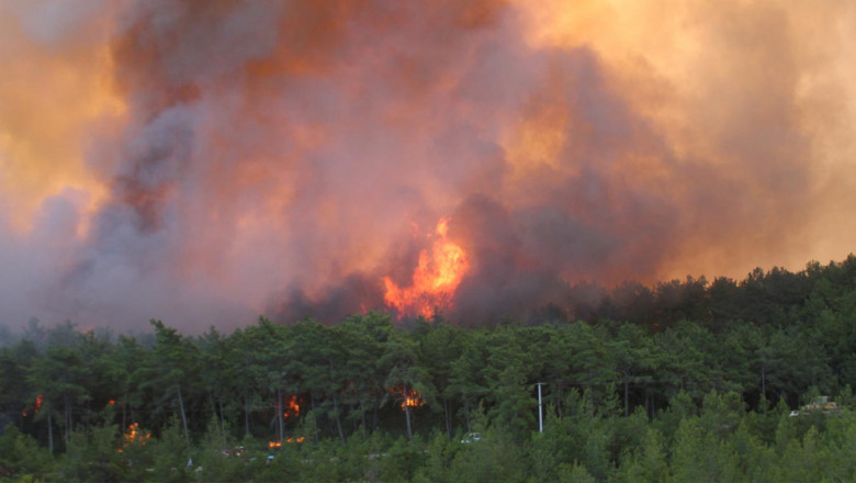 Yalova İl Sağlık Müdürlüğü’nden Yangın ve Yanıklara Karşı Hayati Uyarılar