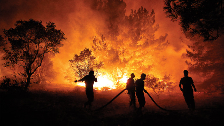Zafer Partisi Yalova İl Başkanlığı; Ormanlarımız Nefesimizdir
