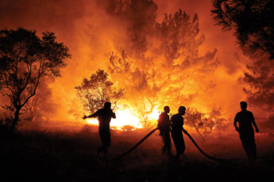 Zafer Partisi Yalova İl Başkanlığı; Ormanlarımız Nefesimizdir