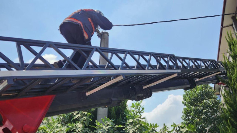 Mahsur Kalan Kuş Kurtarıldı