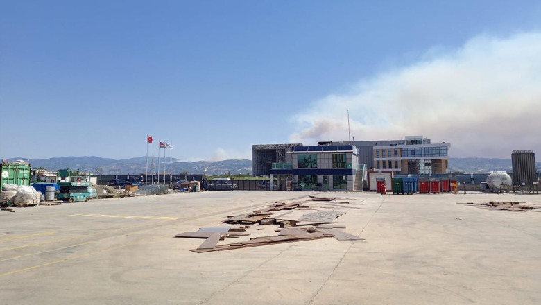 Karamürsel’de Orman Yangını