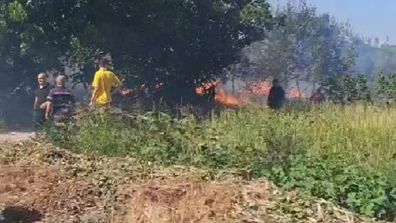 Kazimiye Köyü’nde Anız Yangını Seralara Yayıldı
