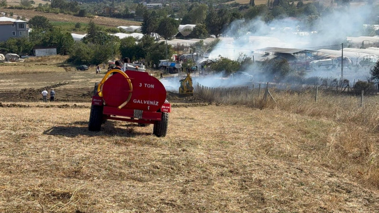 Yalova'da büyükbaş hayvanlar alevlerden son anda kurtarıldı