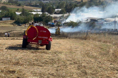 Yalova'da büyükbaş hayvanlar alevlerden son anda kurtarıldı