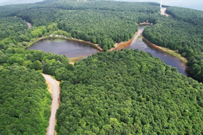 Yalova’da Ormanlara Giriş Yasaklandı: Ateş Yakmak Kesinlikle Yasak!