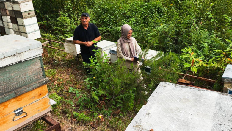 Yalova’da Bal Kalitesi İçin Referans Numune Çalışmaları Başladı